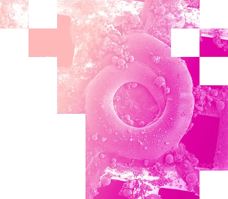 01-Cryo ET Sample Preparation