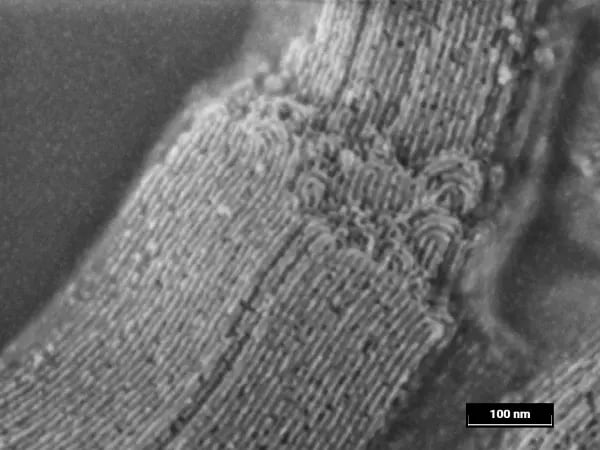01_Detailed ultra-high resolution image of mesoporous silica SBA-15 using Axial detector at 800 eV ̈