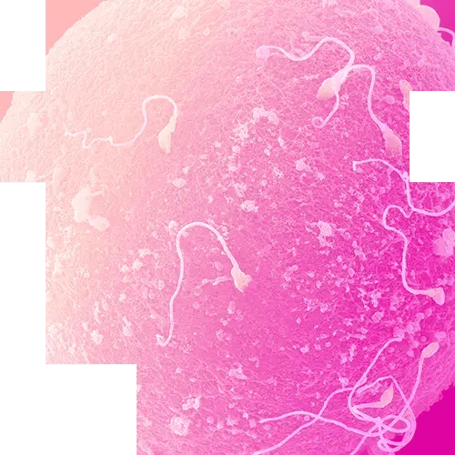 03-Surface Morphology Analysis-mobile