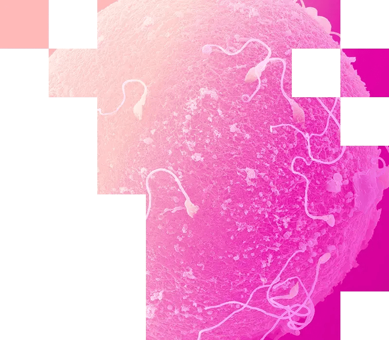 03-Surface Morphology Analysis