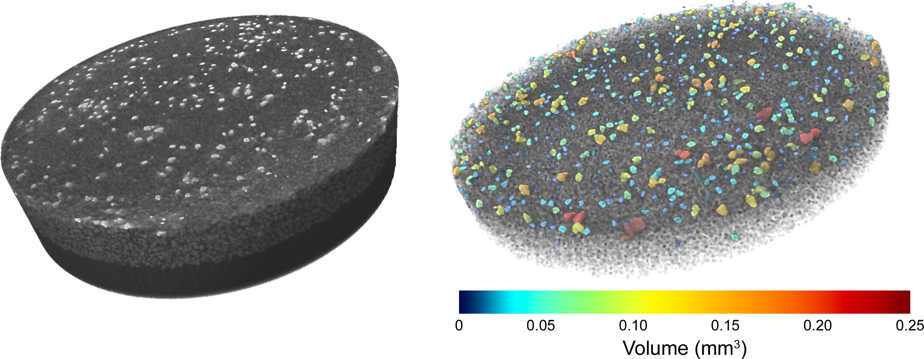 1_3D scan of grain mount and analysis of dense particles color-coded to size-1