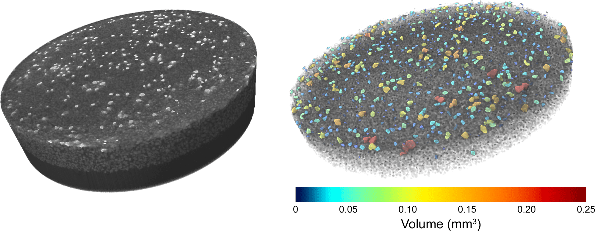 1_3D scan of grain mount and analysis of dense particles color-coded to size