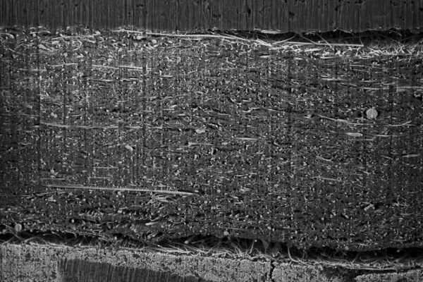1_Plasma FIB cross section of a solid-state battery, showing the anode, separator, and cathode layers-1 (1)