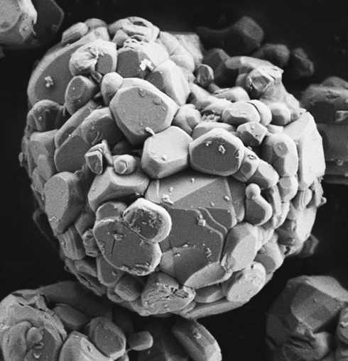 1_SEM examination of LiCoO2 particle properties