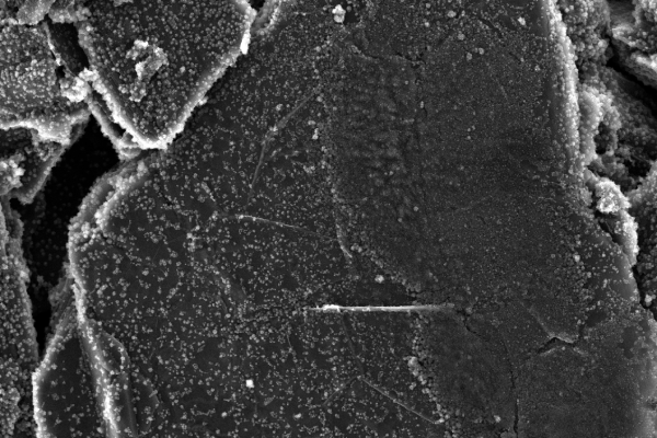 1_Surface morphology of cycled graphite anode observed by SEM (1)