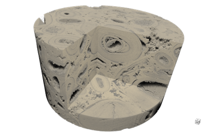 1_submicron scan of a carbonate sample (Savonnières Limestone)-2