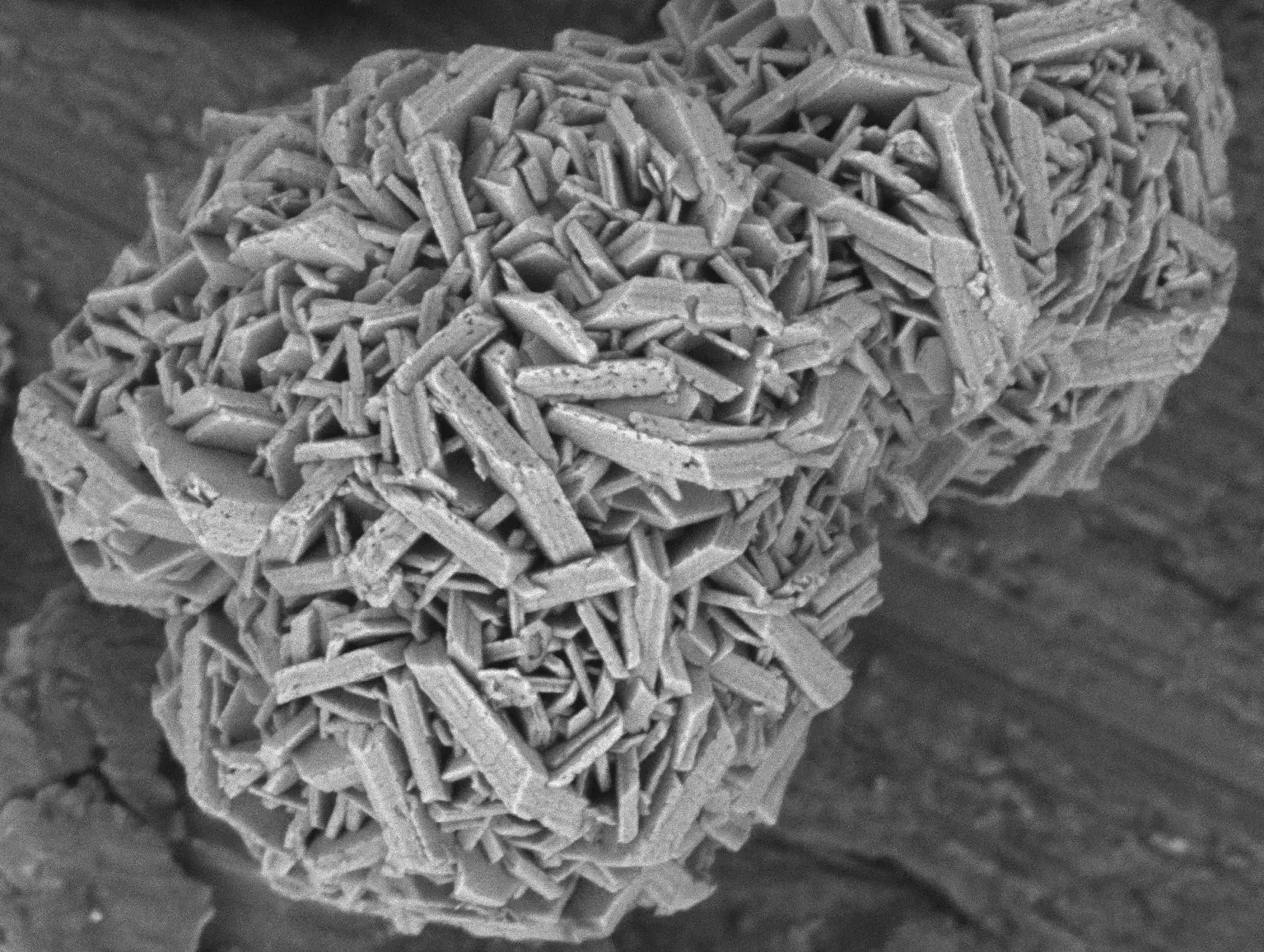 2_High-resolution SEM image of NiCoMn battery precursor
