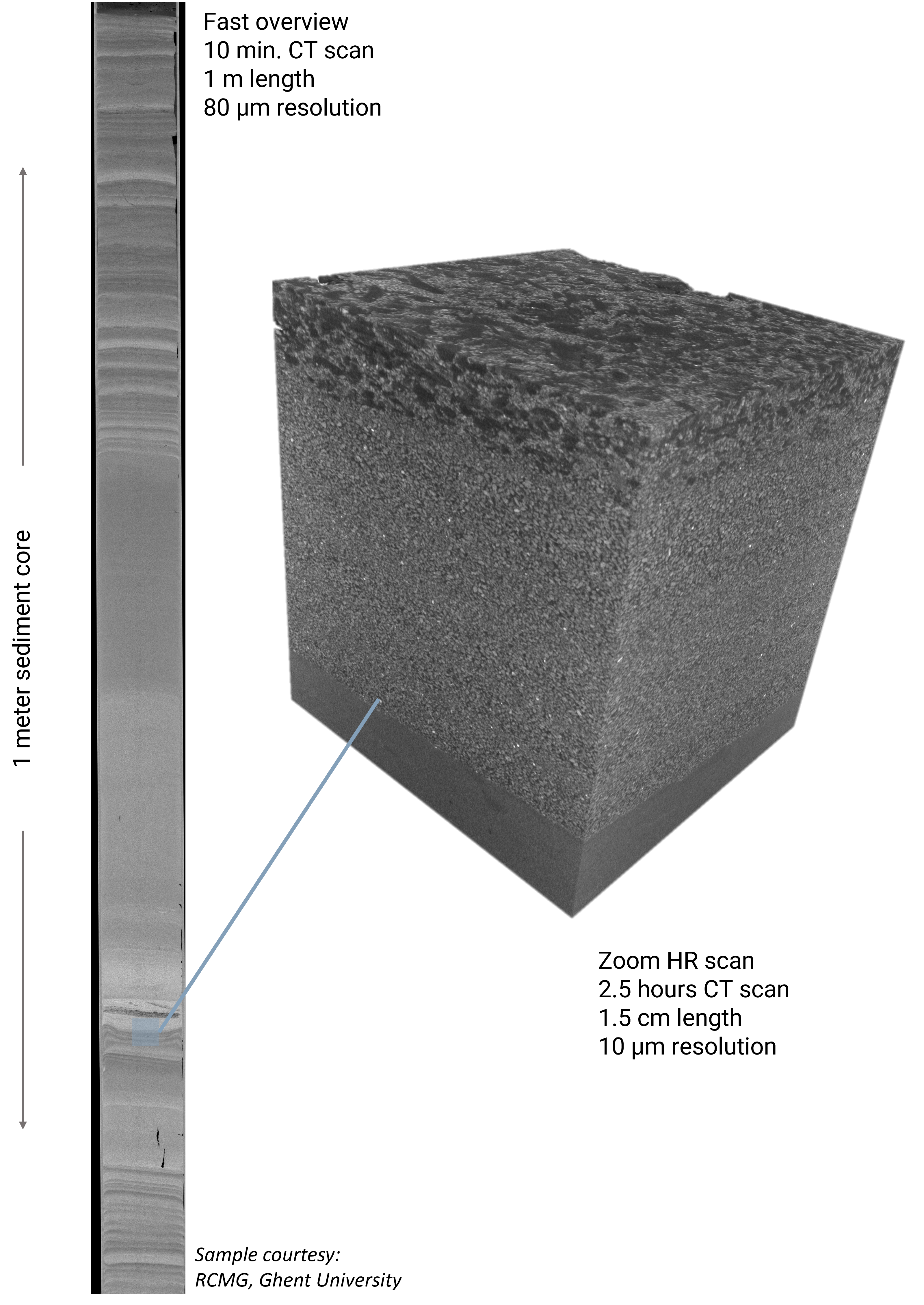 2_multiscale imaging from core to grain - Overview scan of a full size 1 meter sediment core and a volume of interest scan showing individual grains-4
