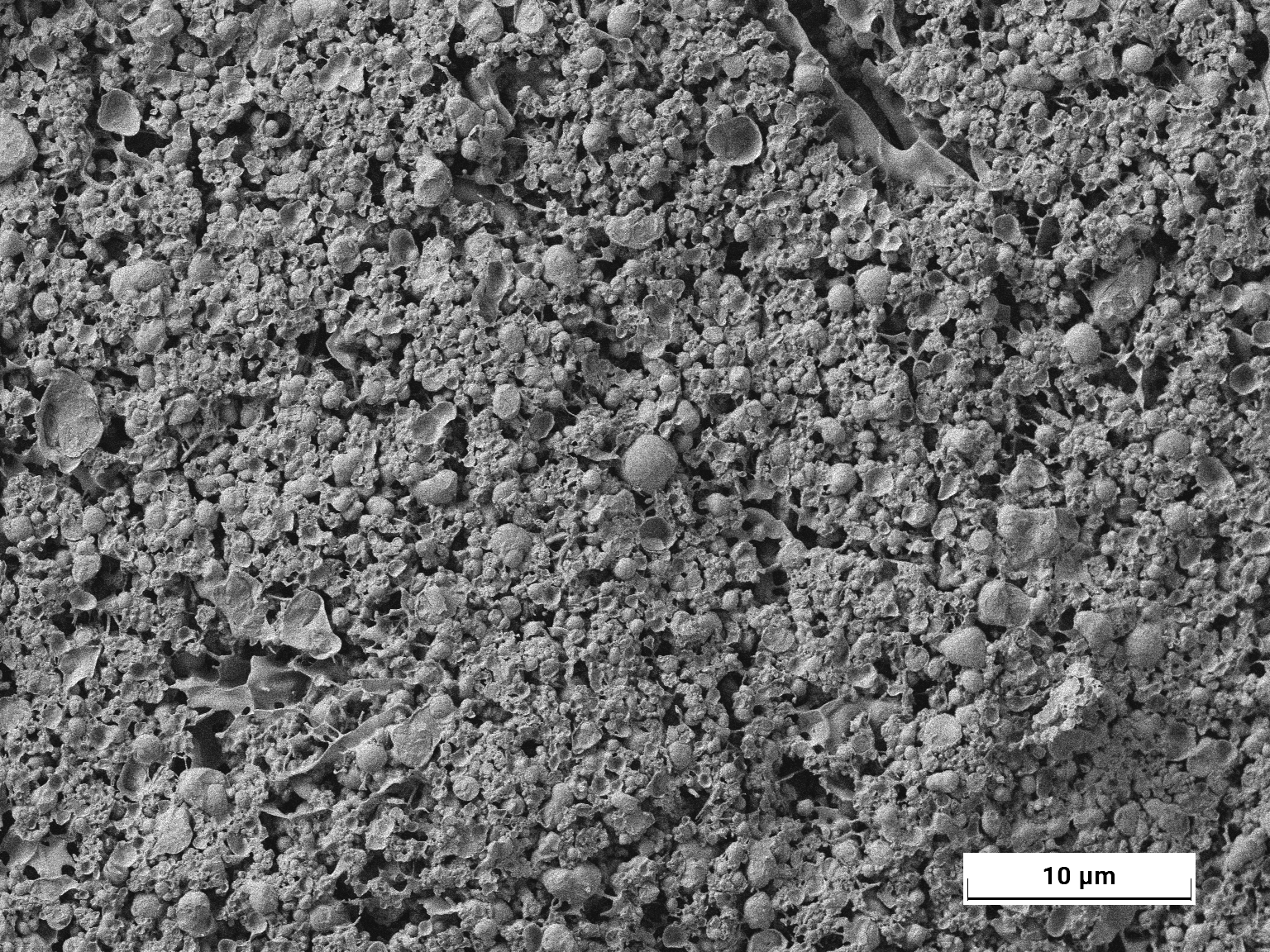 Capture Large Surface Areas to evaluate the consistency in texture across the whole sample