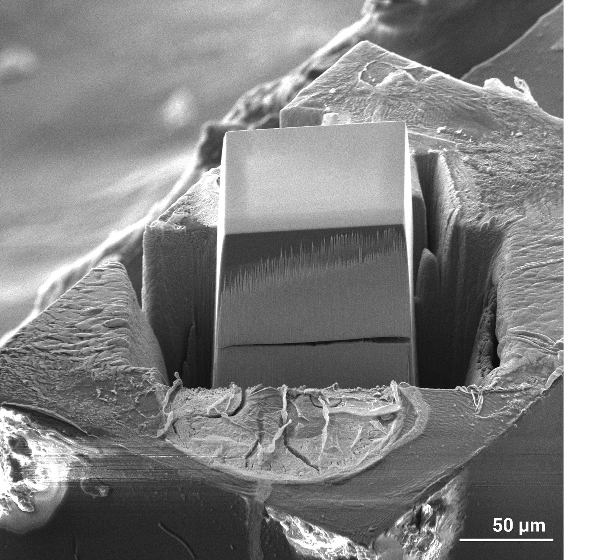 Achieve Fast, Precise Trenching for Large-Volume Imaging