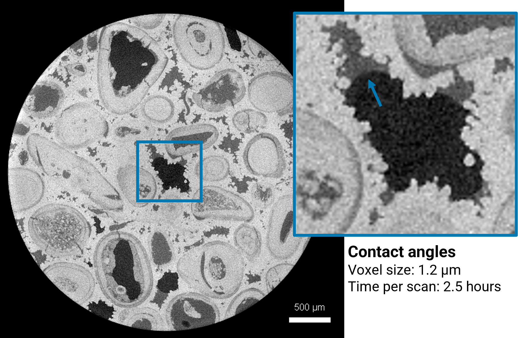 3_Multiphase flow in carbonate sample, volume of interest scan showing contact between brine and gas phase in the pore space