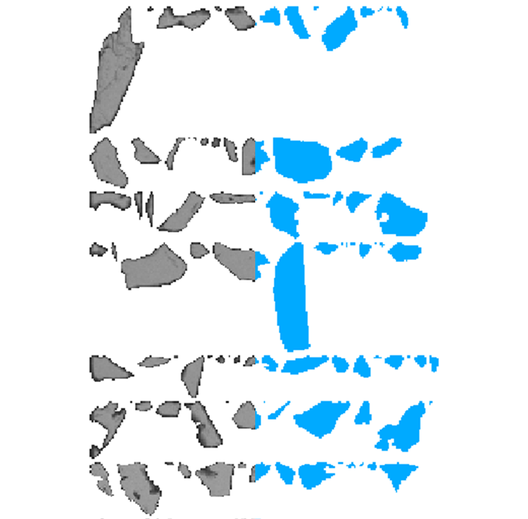 Unlocking Hidden Value in Processing Waste 