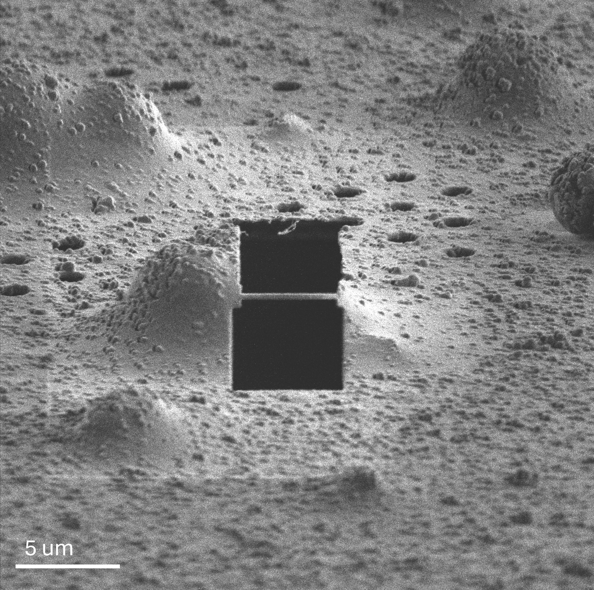 4_FIB image of the lamella
