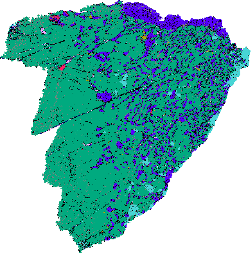 4_Spodumene-rich particle with fine quartz exsolutions-1