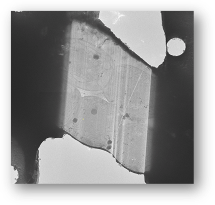 5_1_On-grid lamella after final polishing