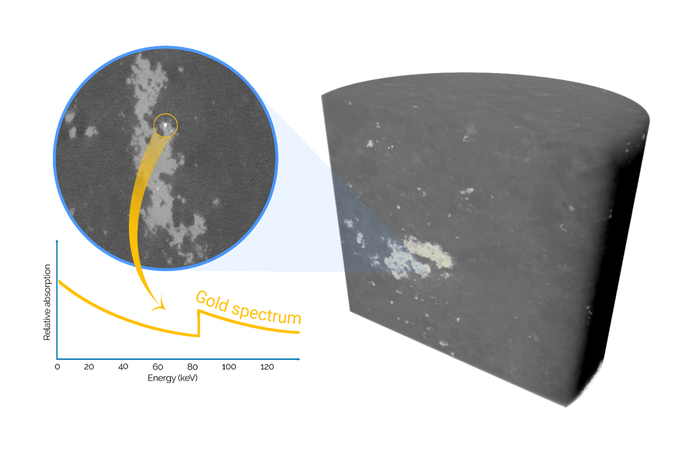 5_spectral micro-CT analysis of large core indicating the precense of gold