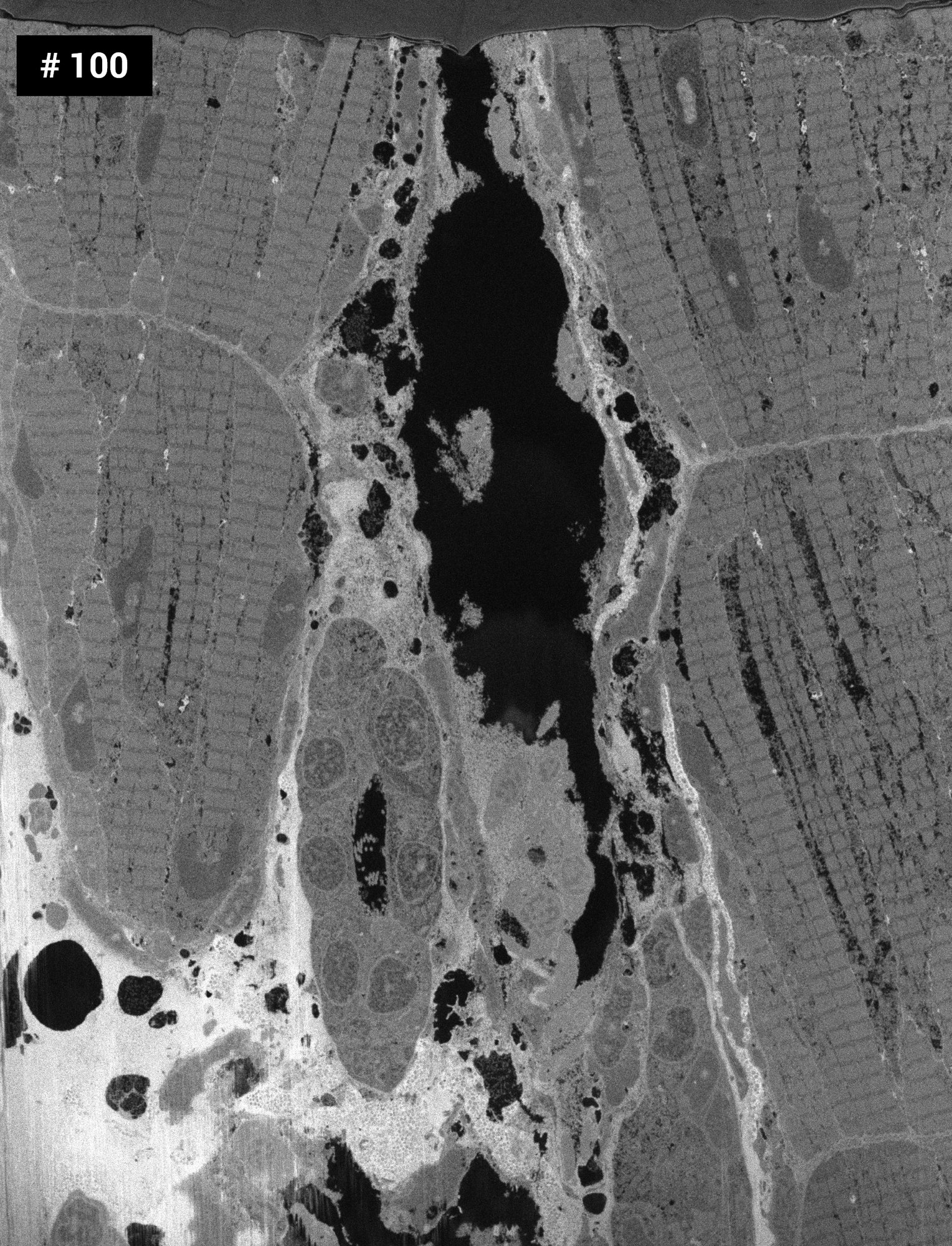 Ensure Consistent Imaging Across Long Acquisitions