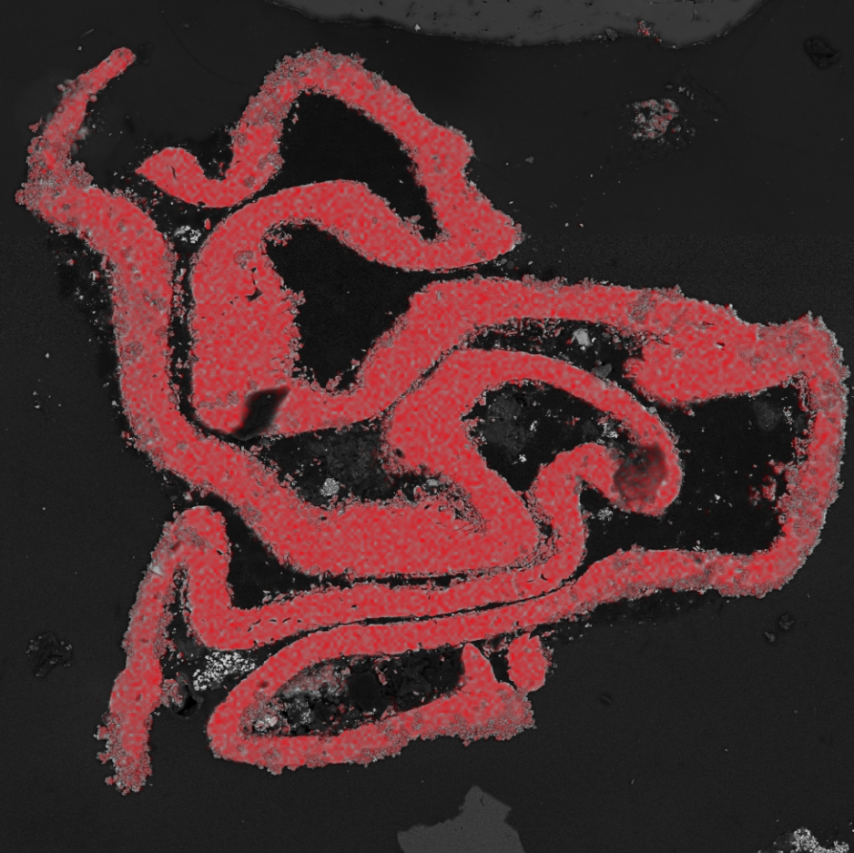 Smarter Battery Recycling: Unlocking Value from Graphite and Metal Components 