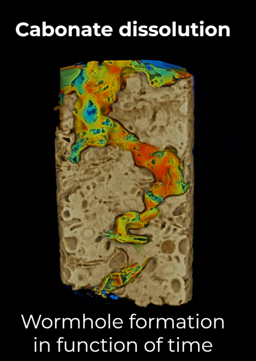 6_Reactive fluid flow in carbonate, wormhole formation due to acidification-1