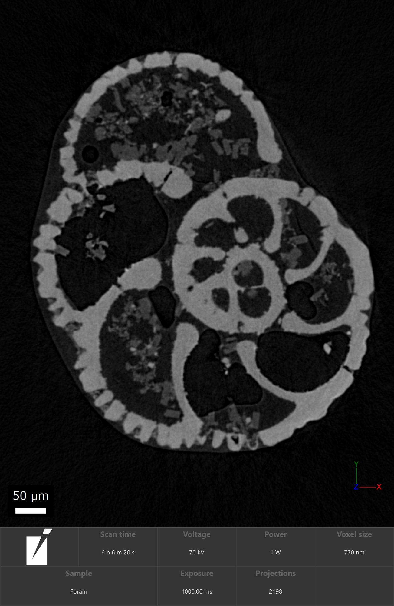 Uncover Microfossils and Fine Features in 3D