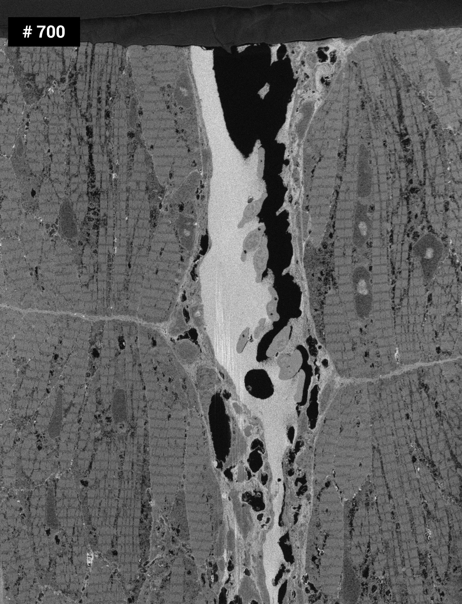 Ensure Consistent Imaging Across Long Acquisitions