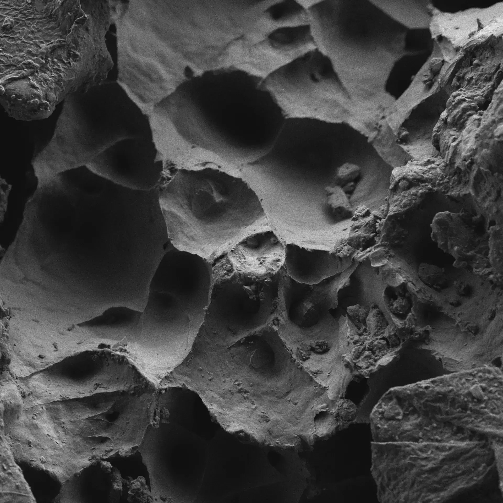 7b019d21840a1811f2c817e1c4fb5e9fa78b3fa0