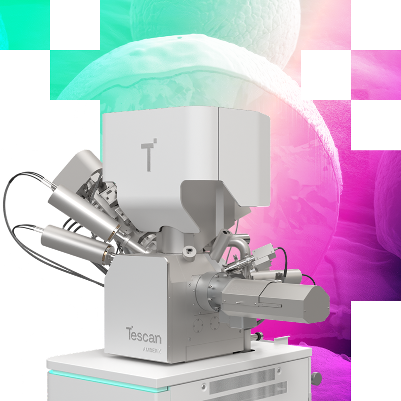 Amber X 2 hero image