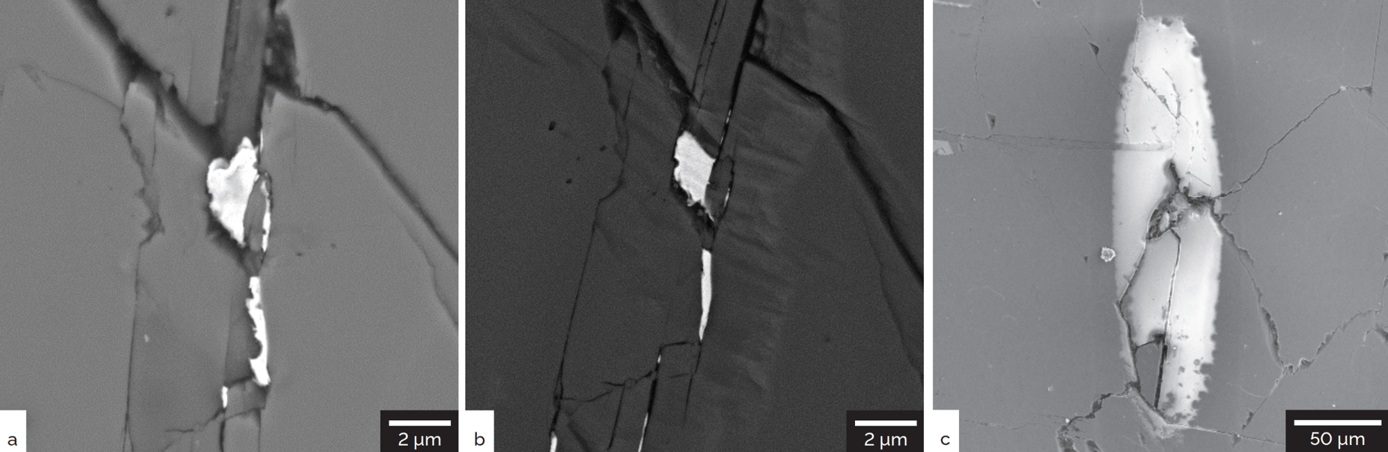 Apply a Conductive Coating to Dissipate Charge and Improve Imaging