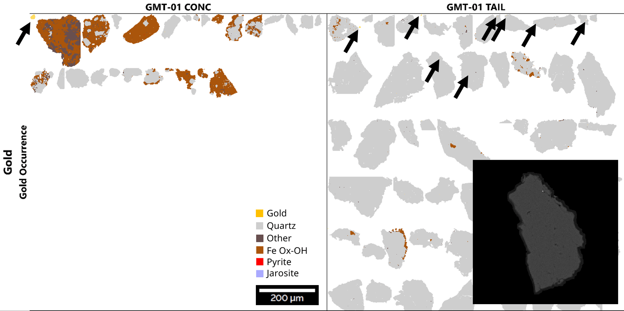 Assess gold grain size distribution